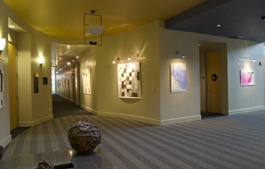 Solo Show